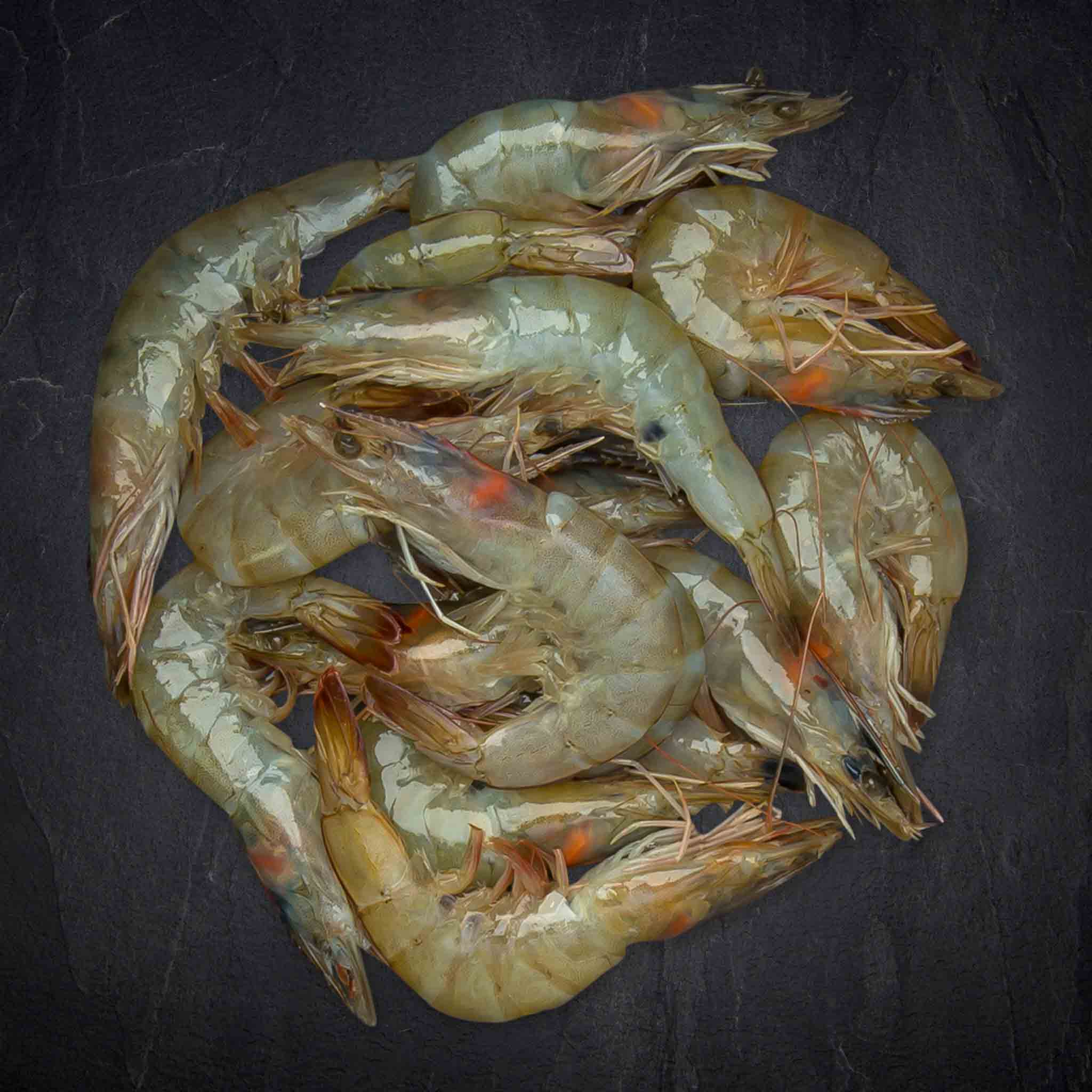 236344_Fisch_Crevetten_Garnelen_30-40er_ro_aufgetaut_Equador_6_B2BFP Produktbild: 236344_Fisch_Crevetten_Garnelen_30-40er_ro_aufgetaut_Equador