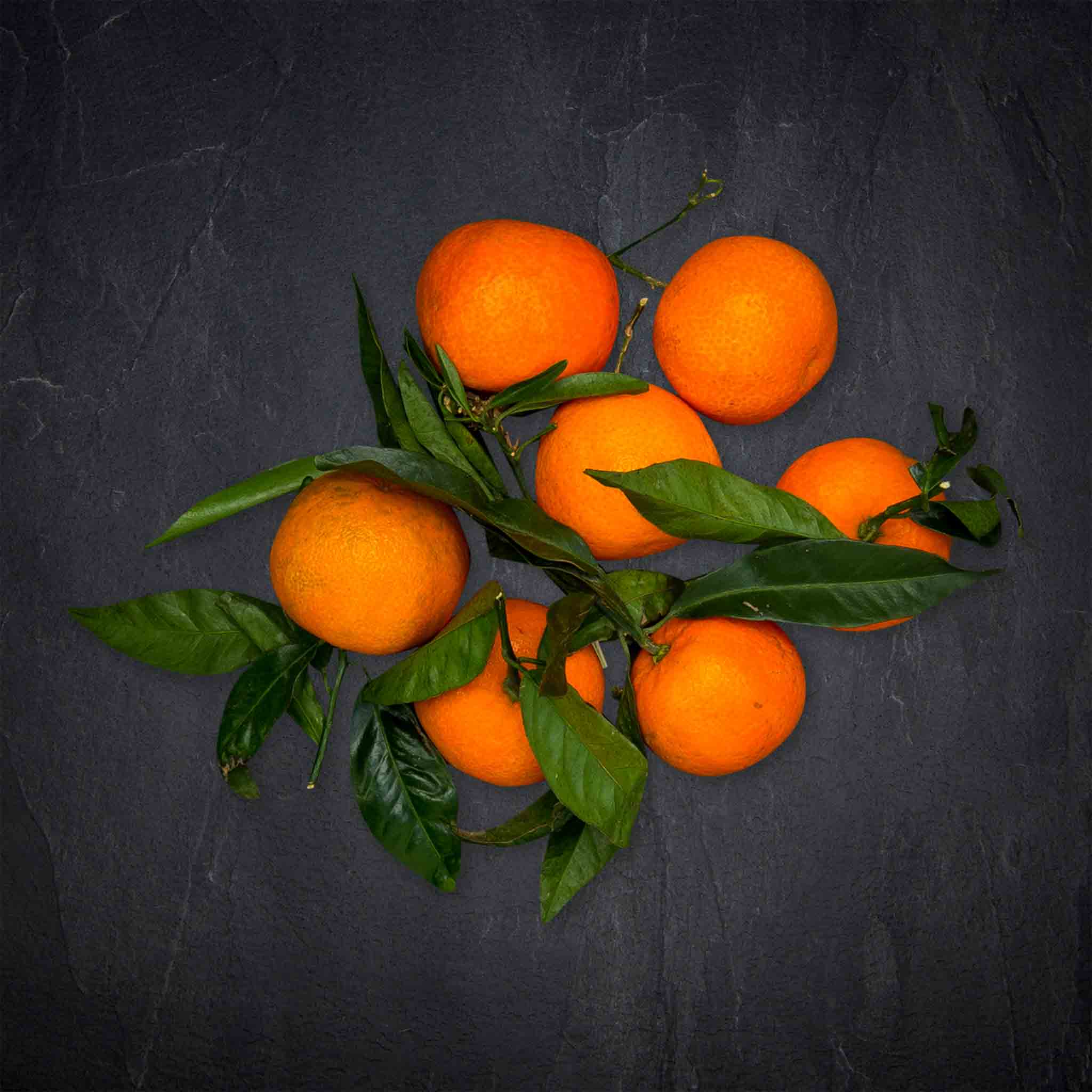 516151_Obst_Clementine_mitBlatt_kg_Italien_4_B2BFP