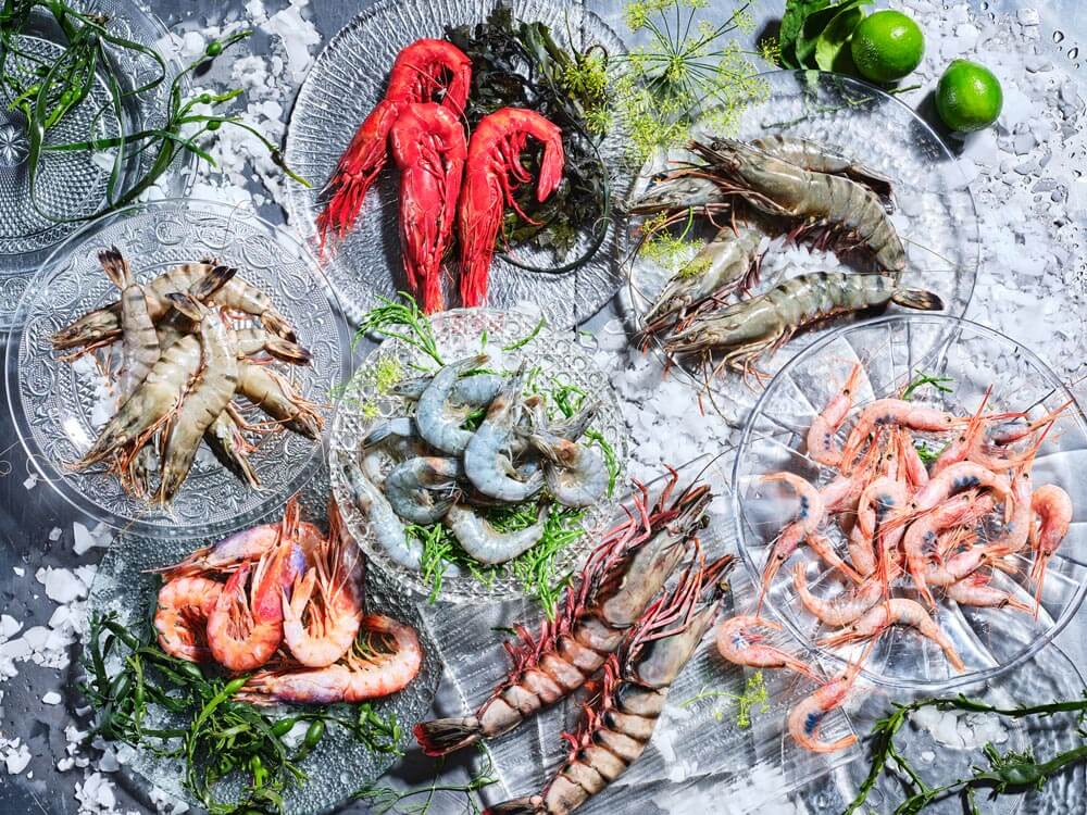 Produktbild: Garnelenopulenz