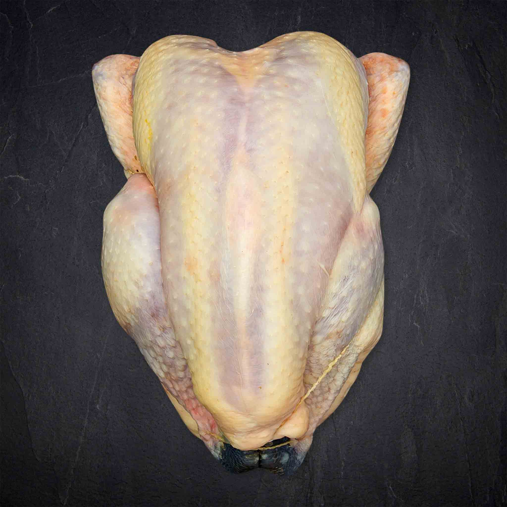 384163_Geflu_gel_Bresse_Ha_hnchen_1_5kg_SB_Frankreich__5__2_B2BFP Produktbild: 384163_Geflu_gel_Bresse_Ha_hnchen5kg_SB_Frankreich_