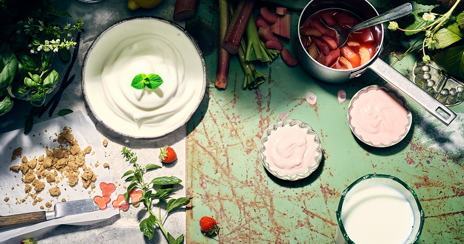 Milch und Joghurt Kategorie Produktbild: Milch und Joghurt Kategorie