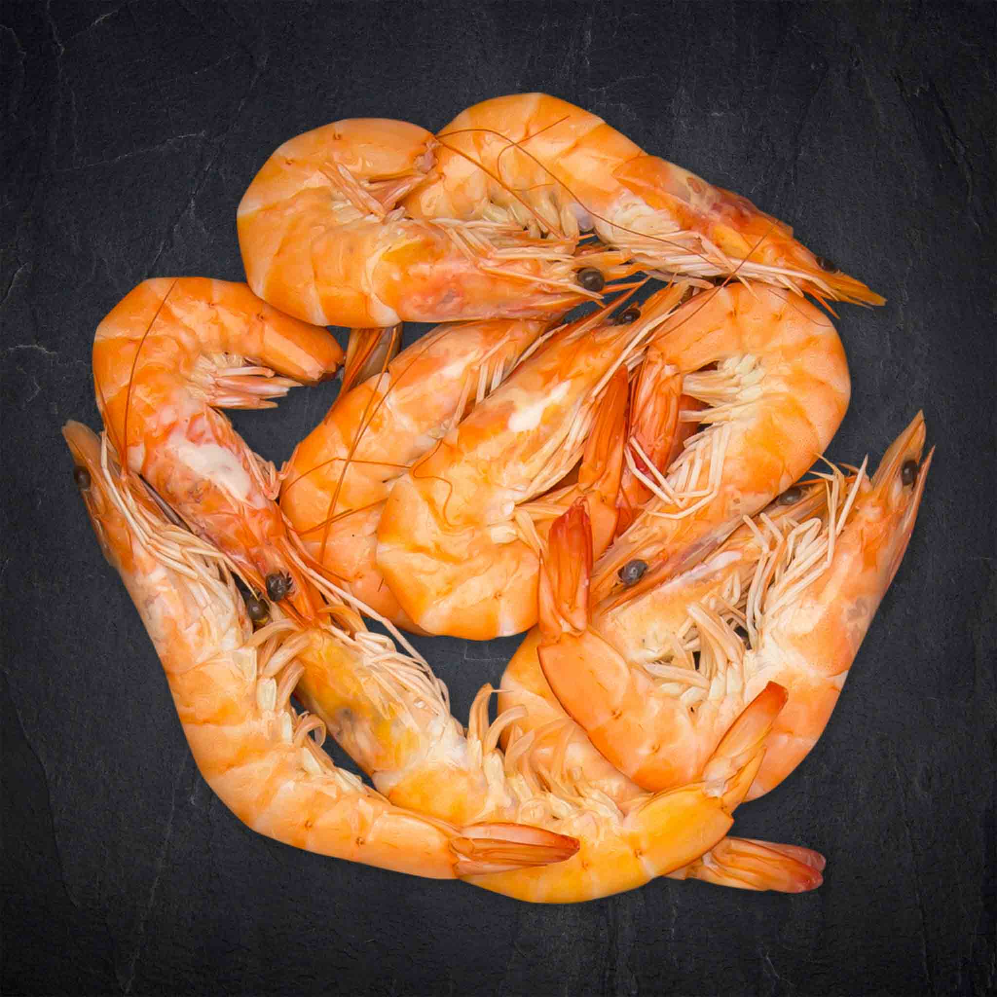 146439_Fisch_Crevetten_Garnelen_30-40er_gek_aufgetaut_Equador_5_B2BFP Produktbild: 146439_Fisch_Crevetten_Garnelen_30-40er_gek_aufgetaut_Equador