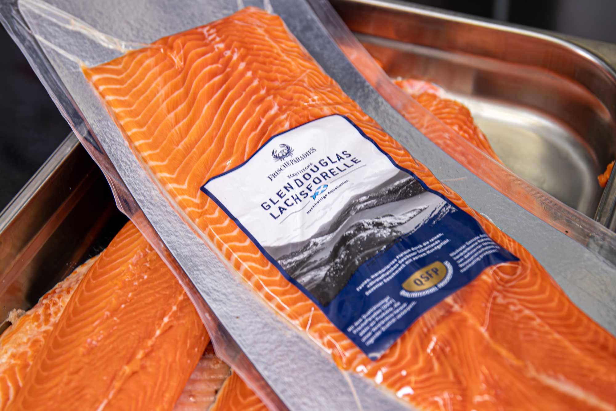 Glen Douglas Lachsforelle