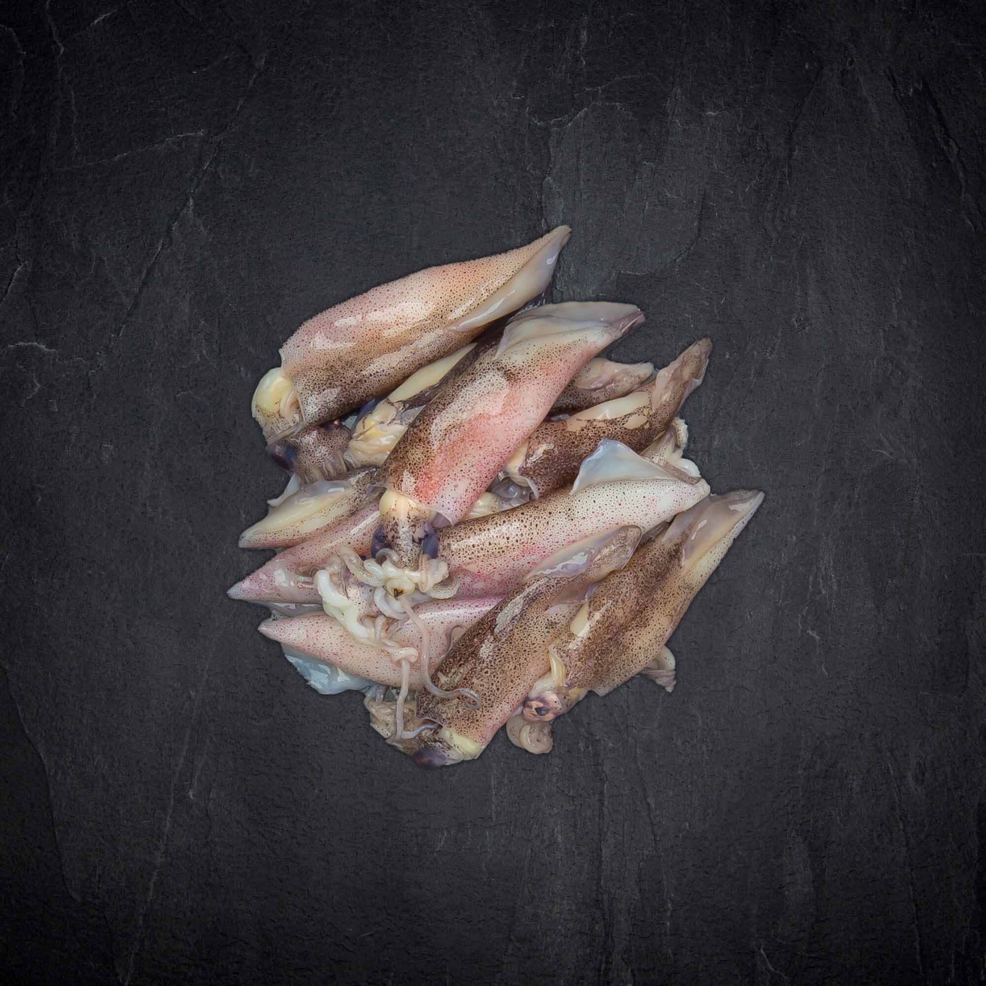 573420_Fisch_Calamaretti_60-100g_aufgetaut_Doryteuthis_Gahi_9_B2BFP Produktbild: 573420_Fisch_Calamaretti_60-100g_aufgetaut_Doryteuthis_Gahi