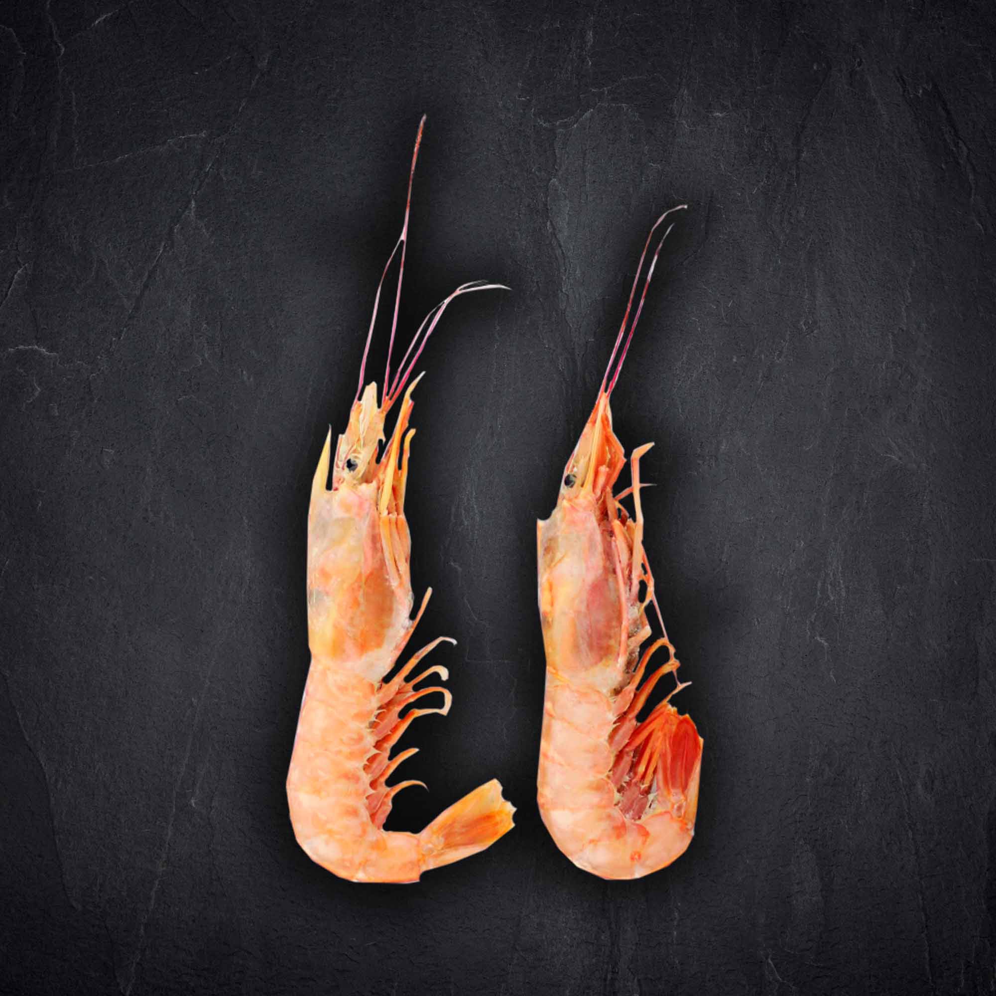 Fisch & Meeresfruechte Produktbilder Produktbild: Fisch & Meeresfruechte Produktbilder