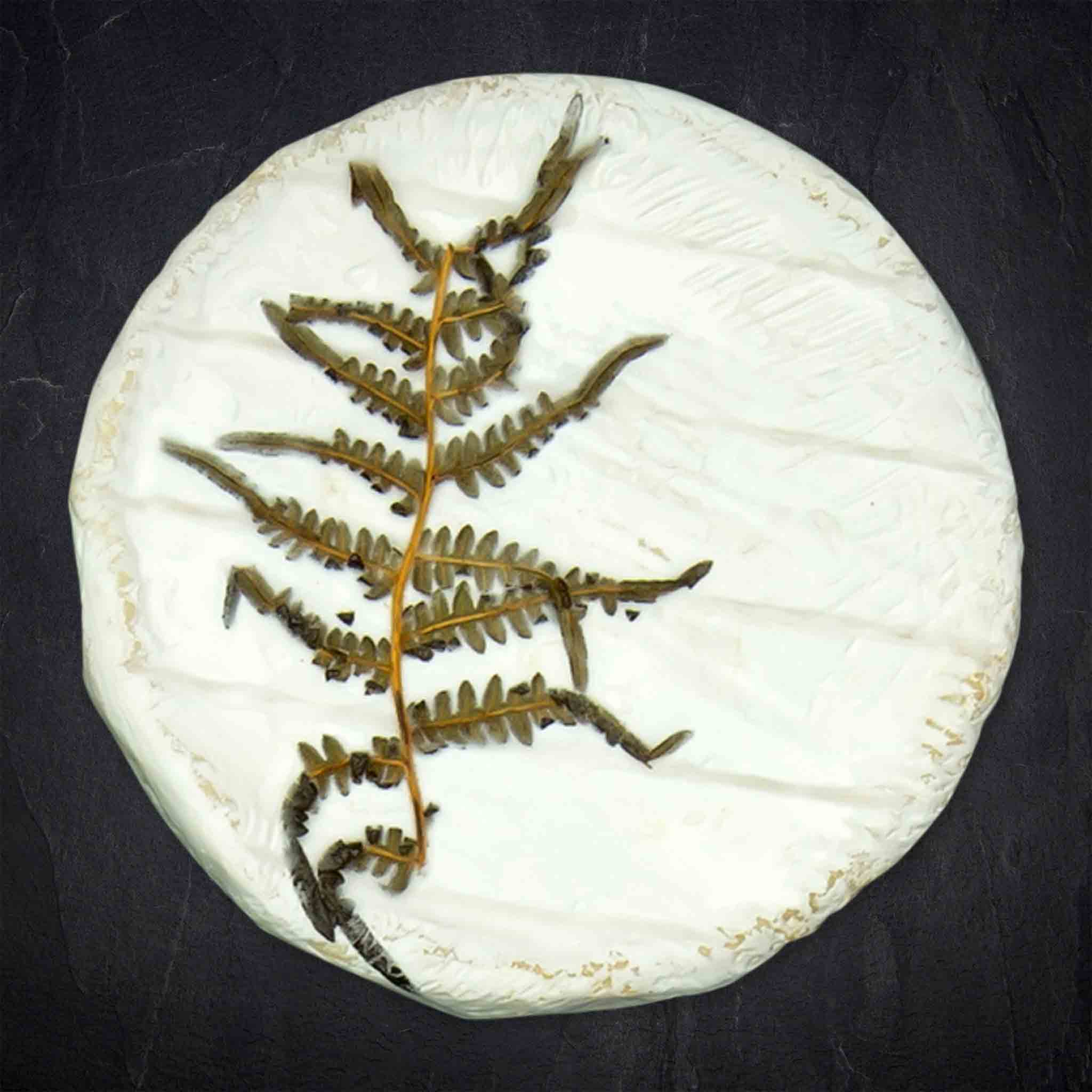 Produktbild: 460588_Ka_se_Fougerus_250g_KUH_FR